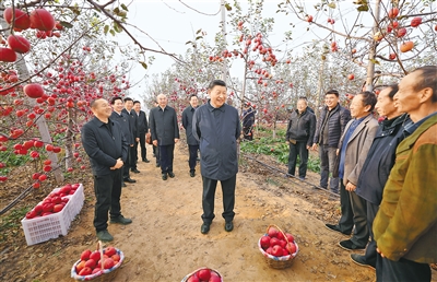 习大大：全面推进村落振兴 为实现农业农村现代化而不懈奋斗